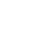 logo_stz